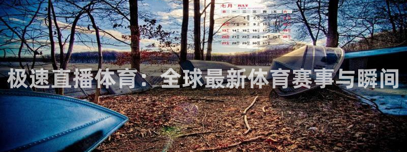 极速直播体育：全球最新体育赛事与瞬间