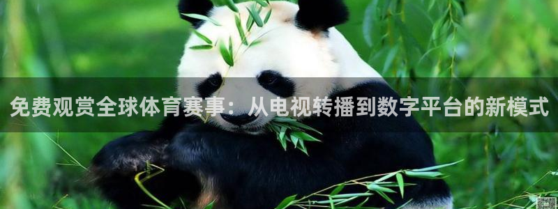 免费观赏全球体育赛事：从电视转播到数字平台的新模式